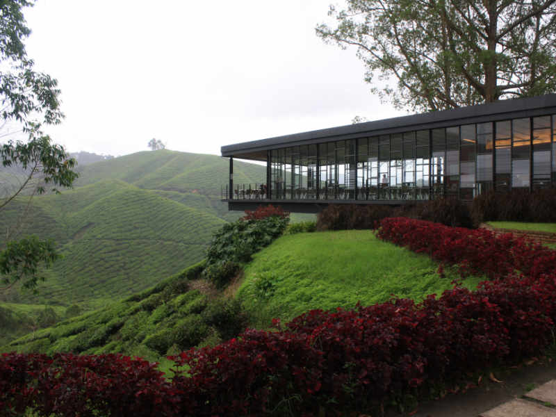 Mount Brinchang in Cameron Highlands